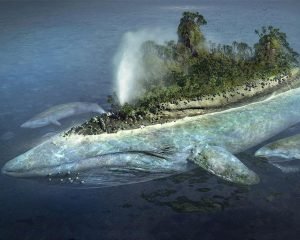 %name Godlike Monster Art Whale Island