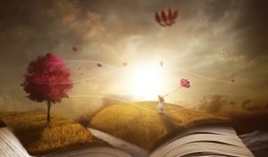 book 2929646 960 720 300x176 book 2929646 960 720