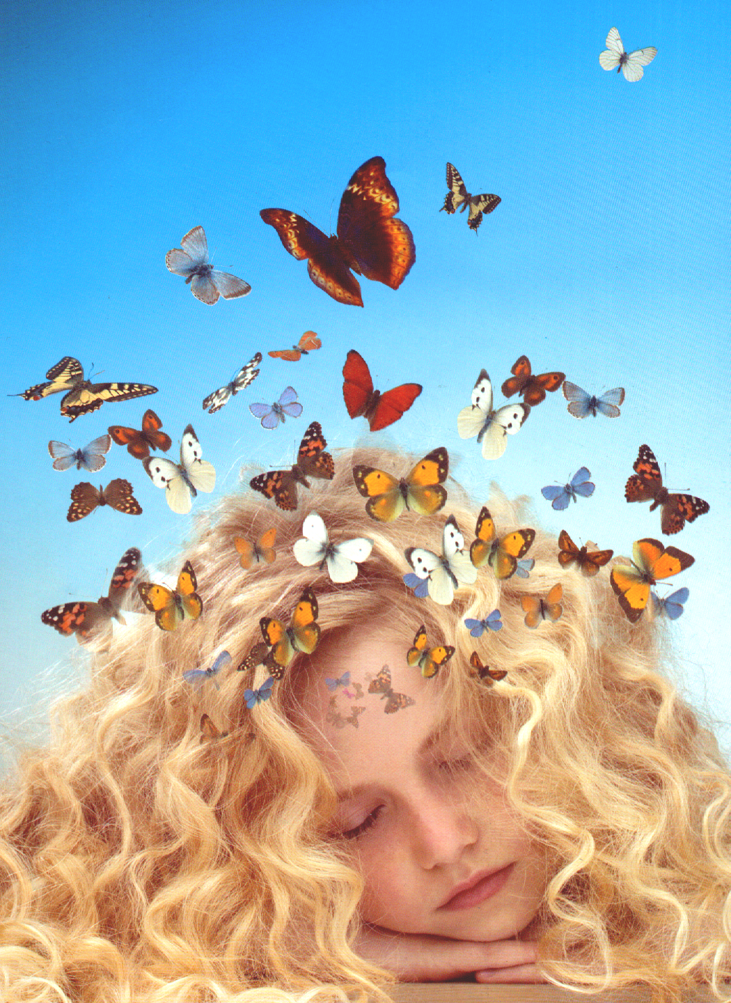 girl with butterflies girl with butterflies